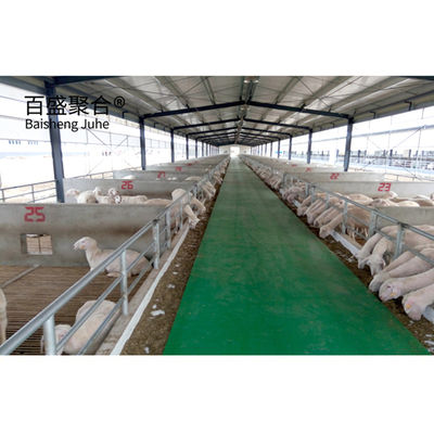 알루미늄 합금 창문 Prefab Steel Construction Agricultural Building for Cattle Barn 소집용 건물