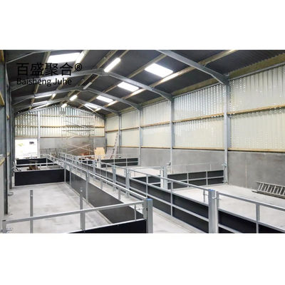 알루미늄 합금 창문 Prefab Steel Construction Agricultural Building for Cattle Barn 소집용 건물