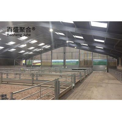 알루미늄 합금 창문 Prefab Steel Construction Agricultural Building for Cattle Barn 소집용 건물