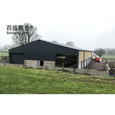 알루미늄 합금 창문 Prefab Steel Construction Agricultural Building for Cattle Barn 소집용 건물
