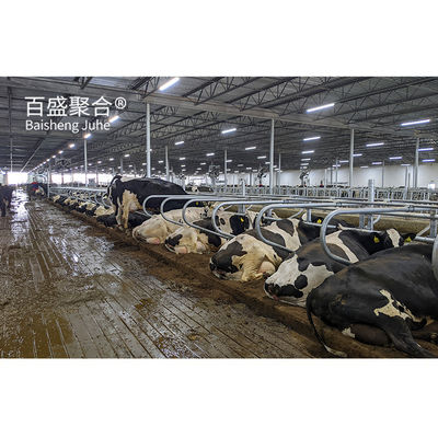 ISO9001 2008/CE/BV 인증 전조 철강 빔 H 빔 소 가축 가옥