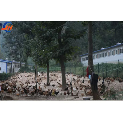 철강 등급 현대 디자인 닭고기 닭고기 닭고기 농장 집 철강 구조물 가옥 농장