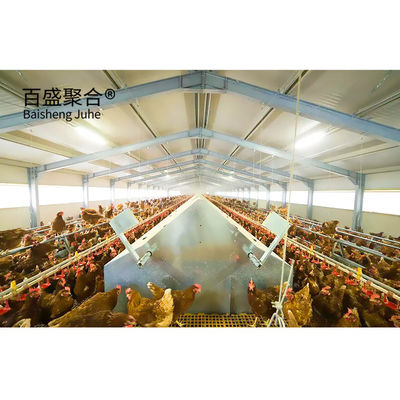 핫 디프 젤바니제 현대 디자인 닭고기 닭고기 닭고기 닭고기 닭고기 닭고기 닭고기 닭고기 닭고기 닭고기 닭고기 닭고기 닭고기 닭고기 닭고기