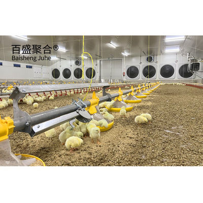 핫 디프 젤바니제 현대 디자인 닭고기 닭고기 닭고기 닭고기 닭고기 닭고기 닭고기 닭고기 닭고기 닭고기 닭고기 닭고기 닭고기 닭고기 닭고기