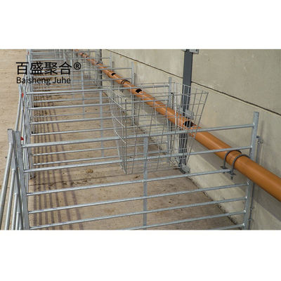 ASTM 표준 디자인으로 구조 된 철강 구조 양창고 농장