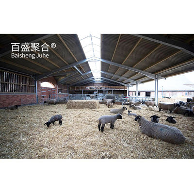 ISO9001 2008/CE/BV 인증을 받은 가축, 양, 염소 및 유제품 농장의 가축