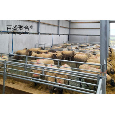 ISO9001 2008/CE/BV 인증을 받은 가축, 양, 염소 및 유제품 농장의 가축