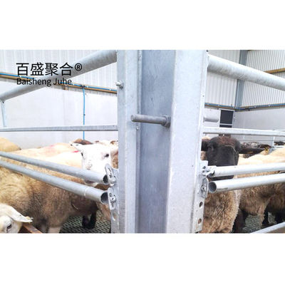 용접 전공 H 빔 쇠 구조 건물 양 양 가축 가축 농장 소/축산물 농장