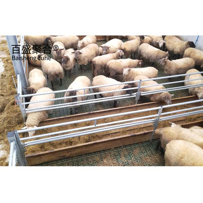 용접 전공 H 빔 쇠 구조 건물 양 양 가축 가축 농장 소/축산물 농장