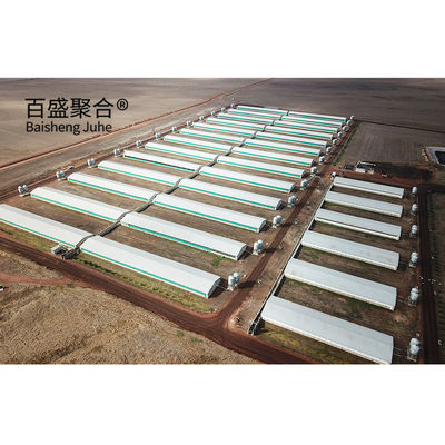 Farrowing Crate Steel Structure for Modern Farm Pig House Shed Hog Cote 와이너리 피그스티