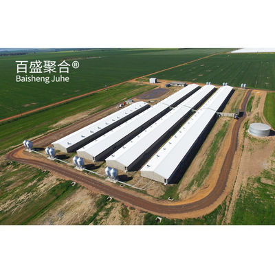Farrowing Crate Steel Structure for Modern Farm Pig House Shed Hog Cote 와이너리 피그스티