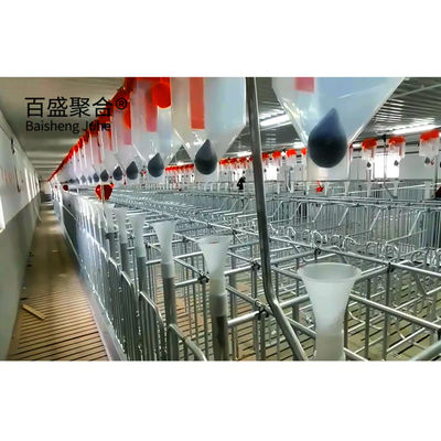 Farrowing Crate Steel Structure for Modern Farm Pig House Shed Hog Cote 와이너리 피그스티