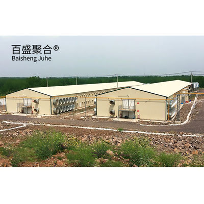 ASTM 표준 맞춤형 상업용 돼지 집, 롤러 문과 전공식 철 구조