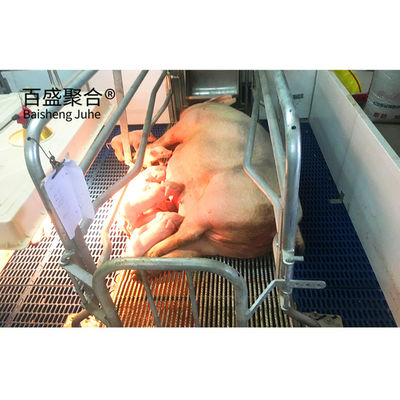 ASTM 표준 맞춤형 상업용 돼지 집, 롤러 문과 전공식 철 구조