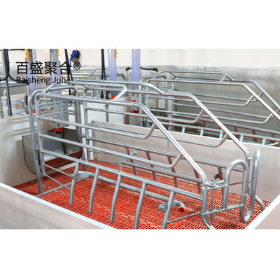 ISO9001 2008/CE/BV 인증 돼지 사육 사업 계획