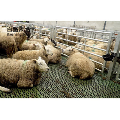 Prefabricated Steel Structure Goat Farming Design Shed House for Q235 저탄소 철강