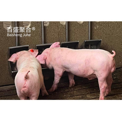가금 가축 농장용 가금 가금 가금 가금 가금 가금 가금
