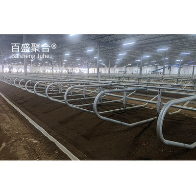 빠르게 세워진 Q235 저탄소 강철 소장소