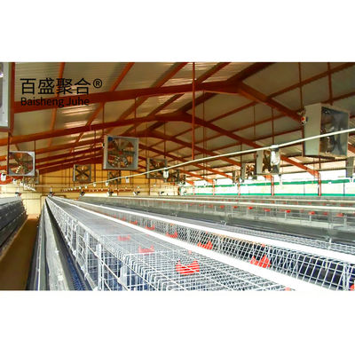 젤리화 A형 닭고기 케이지 레이어 ISO9001 2008/CE/BV 인증을 가진 가축