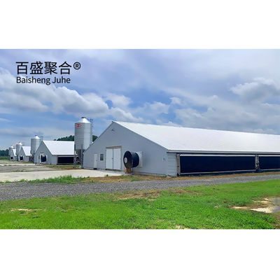 젤리화 A형 닭고기 케이지 레이어 ISO9001 2008/CE/BV 인증을 가진 가축