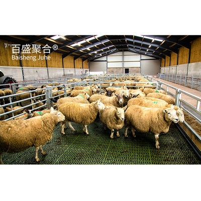 맞춤 색상 강철 빔 양/소/돼지/고소/염소 농장 가옥을 위한 가공 동물 가옥