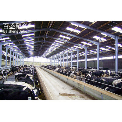 Prefab Cow Farm Shed 농장 건물 디자인