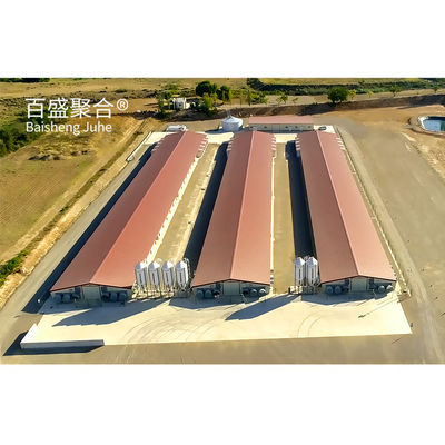 ISO9001 2008/CE/BV 인증을 받은 철 프레임 닭고기 농장 개방형 조류 가옥 유형