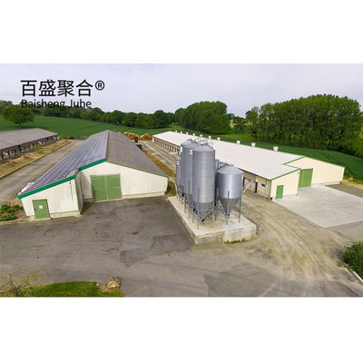ISO9001 2008/CE/BV 인증을 받은 철 프레임 닭고기 농장 개방형 조류 가옥 유형
