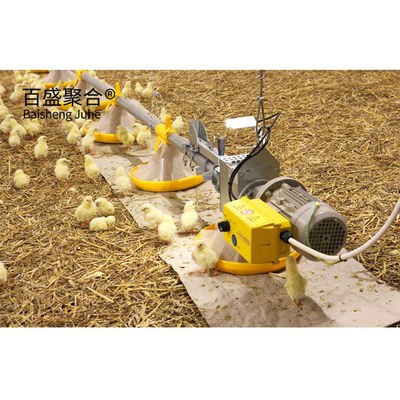 ISO9001 2008/CE/BV 인증을 받은 철 프레임 닭고기 농장 개방형 조류 가옥 유형