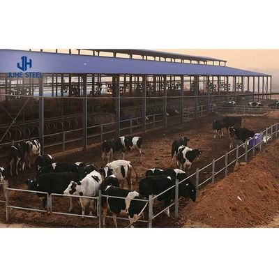 2~10미터 높이 철강 구조물 창고 철강 농장 쉐드